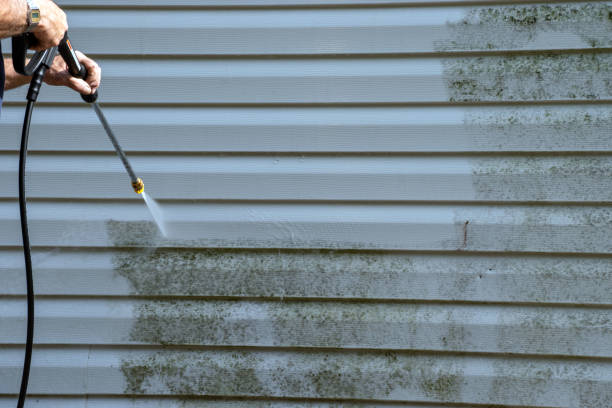 Best Furniture Removal  in Selinsgrove, PA