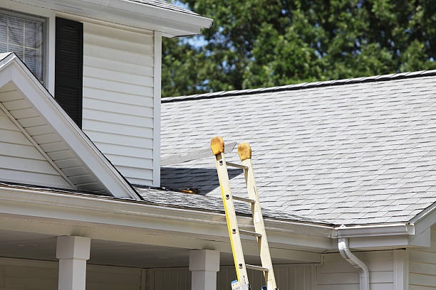 Best Shed Removal  in Selinsgrove, PA